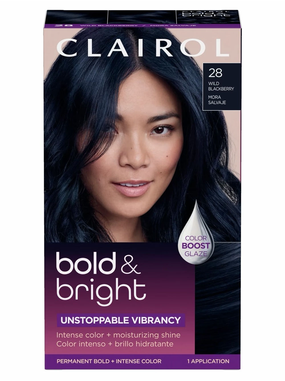 4 Pack Clairol Bold & Bright Hair Color Box in 28 Wild Blackberry Brand New